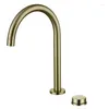 Bathroom Sink Faucets Brushed Gold Water Faucet And Cold Washbasin All Copper Countertop Basin Kitchen