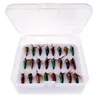 Appâts leurres 24PcsBox couleur mixte mouche mouches boîte tête de perle laineux Bugger Streamer truite leurre de pêche 231202