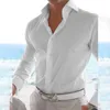 Camisas masculinas camisa festa poliéster regular sólido botão para baixo casual causal confortável diário marca de férias