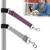 Colliers de chien 2pcs Aide Accessoires de bras de toilettage Cadeau Gris Violet Coupe Pet Stable Laisse Extender Boucle Sangle d'extension réglable