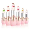 Crayons à lèvres maquillage 6pcs rouge à lèvres ensemble fleur gelée cristal clair longue durée lèvres changement de couleur rose brillant à lèvres cosmétiques 231202