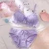 BRAS SETLER SEXY iç çamaşırı Set Kadınlar Külot Set Set Dantel Kayış Push Up Sütyen Kablosuz Seksi Linerie Set Kadın Pijama Seti Plus Boyut 70-85L231202