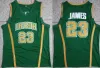 NCAA Męskie koszykówka St. Vincent Mary High School Irish #23 LeBron Jerseys Squad Looney Monstars Space Jam DNA ED Koszulki