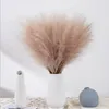 Decorative Flowers Pampas Grass Artificial Durable Fluffy Faux Vase Filler Farmhouse For Home Wedding Boho Decoration