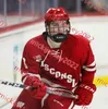 Badgers Hockey Jersey 31 Kyle McClellan 33 Ben Garrity 34 William Gramme 51 Cruz Lucius Wisconsin Jerseys Custom Ed Mens Youth