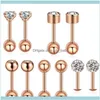 Stud Jewelrystud 10 pièces ensemble de luxe boucles d'oreilles pour femmes boule boucle d'oreille brillant cristal oreille piercing cartilage bijoux Aessory1 D297t