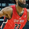 Nosi niestandardowe Stony Brook Seawes koszulka koszykówki NCAA College Elijah Olaniyi Makale Foreman Andrew Garcia Miles Latim