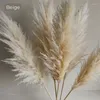 Dekorativa blommor 10st Pampas gräs Stor hög fluffig naturtorkad blomma boho dekor vass för vasfyllning bondgård hem bröllop