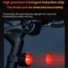 Luci per bici Bicicletta Smart Fanale posteriore freno MTB Strada Auto Sensing SB Ricaricabile IPX6 Impermeabile LED Avvertimento Lampada posteriore 231202