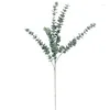Fleurs décoratives 6pcs plante artificielle en plastique souple eucalyptus argent feuille de mariage décoration de la maison simulation vert transfrontalier en gros