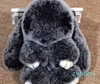 Frost style rex furs lapin peluche toys key ring keychain pendant sac charme tag tag mignon mini-jouet poupée vraie fourrure
