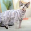 Costumi per gatti Sfinge senza peli Colletto in velluto a righe per animali domestici Maglione Giacca lavorata a maglia Camicia Sphynix calda elasticizzata Cappotto morbido