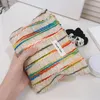 Cosmetic Bags Cases Soft Rainbow Women's Makeup Bag Girl Coin Pruse Wallet Cloth Cosmetics Storgae Pouch Zipper Toilet Bags Lipstick Organizer Case 231202