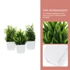 Flores decorativas 3 Pcs Simulado Vaso Casa Falso Bonsai Pequenas Plantas Suculentas Decoração ao Vivo Adornos de Mesa Decorações Pp Mesa de Escritório