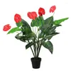 Dekorative Blumen im Topf, tropische grüne und rote künstliche Anthuriumpflanze