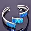 Hele Retail Mode Fijne Blue Fire Opal Bangles 925 Verzilverde Sieraden Voor Vrouwen BNT1522004257v