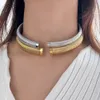 Stainless steel open collar bracelet set senior female snake chain Chocker 8mm12mm16mm wide gold Personalized retro neck short collar necklace 01