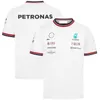 Heren T-shirts 2023/2024 Nieuwe F1 Formule 1 Racing Team Hoge kwaliteit kleding. Modieus Trendy uitziend 0abu