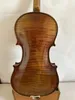 4/4 Modèle de coloration au violon solide en érable à érable économe en épicéle