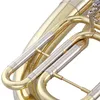 Instruments de musique de haut niveau Tuba en laiton de haute qualité avec 3 pistons à valve rotative laque dorée corne ténor