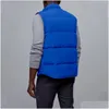 Hommes Down Parkas Puffer Veste Gilet Designer Manteau Hiver Femmes Mode Épaissie Chaud Casual Uni À Capuchon Fourrure En Gros 2 Pièces 10% Dr Dhh58