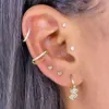 Näsringar Studs Right Grand ASTM F136 16G CZ gångjärn Segmentklickare septum näsring med kedjebrosk Hoop örhänge Helix Piercing 231201