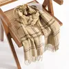 Le sciarpe fresche e dolci in imitazione cashmere da donna sono accessori per spalle leggeri, lussuosi, eleganti, alla moda, caldi, resistenti al freddo