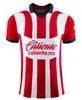 2023 24 Chivas CD Guadalajara Futbol Formaları A.Vega I.Brizuela E.Gutierrez C.Calderon A.zaldivar Alvarado F.Beltran J.Macias T-Shirt Boyutu S-4XL