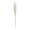 Decorative Flowers Pampas Grass Artificial Durable Fluffy Faux Vase Filler Farmhouse For Home Wedding Boho Decoration