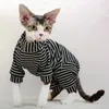 Costumi per gatti Sfinge senza peli Colletto in velluto a righe per animali domestici Maglione Giacca lavorata a maglia Camicia Sphynix calda elasticizzata Cappotto morbido