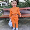 Ensembles de vêtements 2 Pièces Enfants Fille Couleur unie Sweat à capuche Pantalon Ensemble Manches Longues Actif Extérieur 1-8 ans Automne Blanc Vert clair Rose 231202