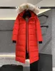 3035女性フード付きジャケット冬の屋外暖かさの長いジャケットコート本物のアライグマの髪の襟暖かいファッションパーカーベルトレディコットンコートアウター