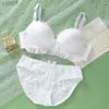 Bras Sets Women's Underwear Lace Sexy Kaii Gathering Push Up Comfort Wireless Beauty Back Cute Ladies Bra and Panty Fe Lingerie SetL231202