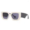 Lunettes de soleil 2023 Arrivée Mode Rectangle Femmes Hommes Cat Eye Vintage Tendance Couleur Lentille Cadre Léopard Noir Résistant aux Ultraviolets