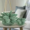 Housses de chaise, oreiller succulent, Cactus succulent, mignon pour le jardin ou les amoureux de la verdure, chambre à coucher, décoration de la maison S
