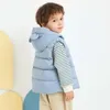 Gilet Tenere al caldo Autunno Inverno Bambini Gilet Moda Giacca senza maniche per ragazze Ragazzi Gilet con cappuccio Cappotti 2-6 anni Abbigliamento per bambini 231202