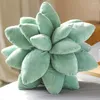 Chair Covers Succulent Pillow Succulents Cactus Cute For Garden Or Green Lovers Bedroom Room Home Decoration S