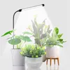 Cultiver des lumières 2X lumière pour les plantes d'intérieur en croissance 6000K spectre complet col de cygne plante lampe semis succulentes prise américaine