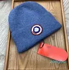 designer Beanie luxury Winter hat popular knitted Cashmere Letters Casual Outdoor Bont Knitted caps color very nice festival gift