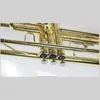 Instrumentos de trompete Tianjin de alta qualidade com estojo rígido, bocal, pano e luvas, lacados a ouro