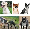 Coleiras de cachorro Metal Chain Show Collar Pet Slip para Shows Fine Brass Snake Choke Ajustável Pequeno Médio Grande Cães