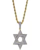 Hip Hop -kedja helt Iced Out Lab Diamond Star of David Pendent Necklace For Men Women4849726