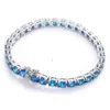 Dropshipping Fijne Sieraden Nieuw Item Vrouwen Sterling Sier Blue VVS Moissanite Diamond Tennis Chain Armband