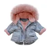 Donsjas Winter Denim Jassen Kinderen Baby Meisje Capuchon Bont Fleece Fluwelen Volledige mouw Warme Dikke Jassen 1-6 jaar Kinderen Uitloper Kleding 231202