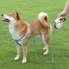 Collari per cani Guinzaglio retrattile durevole da viaggio Anti smarrimento Impugnatura comoda Pet resistente Leggero Corsa portatile Camminata all'aperto