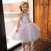 Dziewczyna sukienki różowe mennice księżniczka kwiat Kolan Brinday Communion Rabe de Demoiselle Bridal Kids Wedding Party