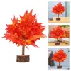 Flores decorativas queda decoração simulado bordo simulação árvore bonsai mesa em miniatura árvores falsas ornamentos escritório artificial