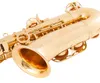 Custome Logo Eb Tune Saxophone Brass Plated Woodwind Instrument High Quality In Stock With Accessories Free Shipping