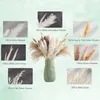 Flores decorativas naturais secas pampas grama boquete presente arranjos de flores decorações para boho casamento decoração de casa artificial