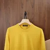 Mens Sweaters Kış Loro Piana Kaşmir Uzun Kollu Yuvarlak Boyun Sweaters